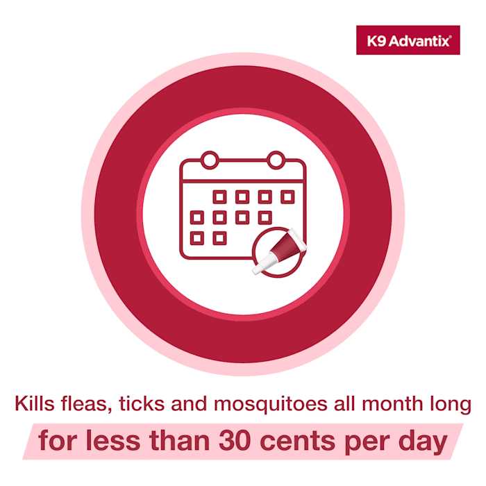 Flea Tick Mosquito Prevention for Extra Large Dogs M6774