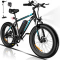Fat Tire 750W 15AH 48V Electric Bike Q460
