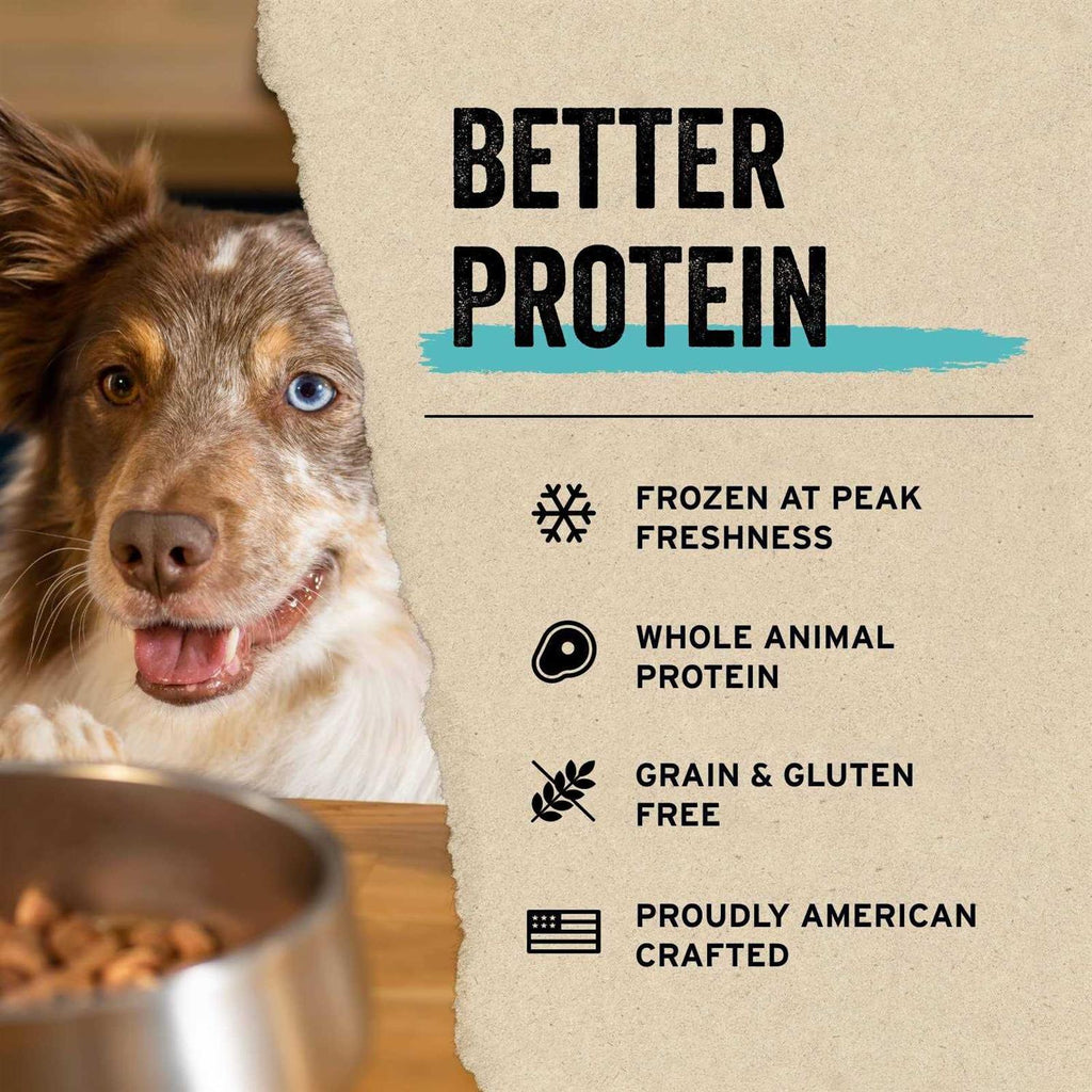Freeze Dried Raw Salmon Recipe Mini Nibs Topper for Dogs B877138