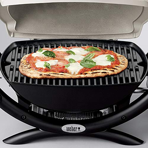 Titanium Liquid Propane Grill H300486