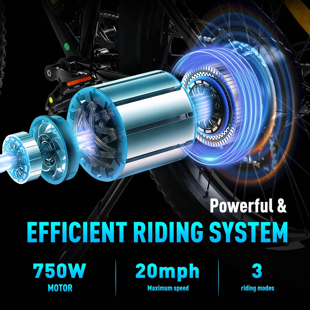 Fat Tire 750W 15AH 48V Electric Bike Q460