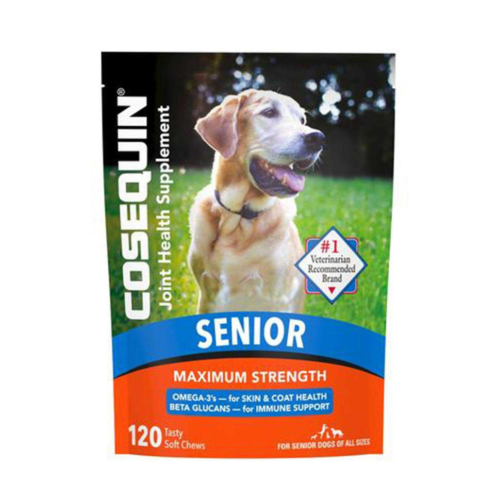 Joint Health Supplement for Senior Dogs W905