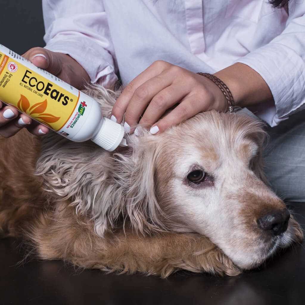 Dog Ear Cleaner I978
