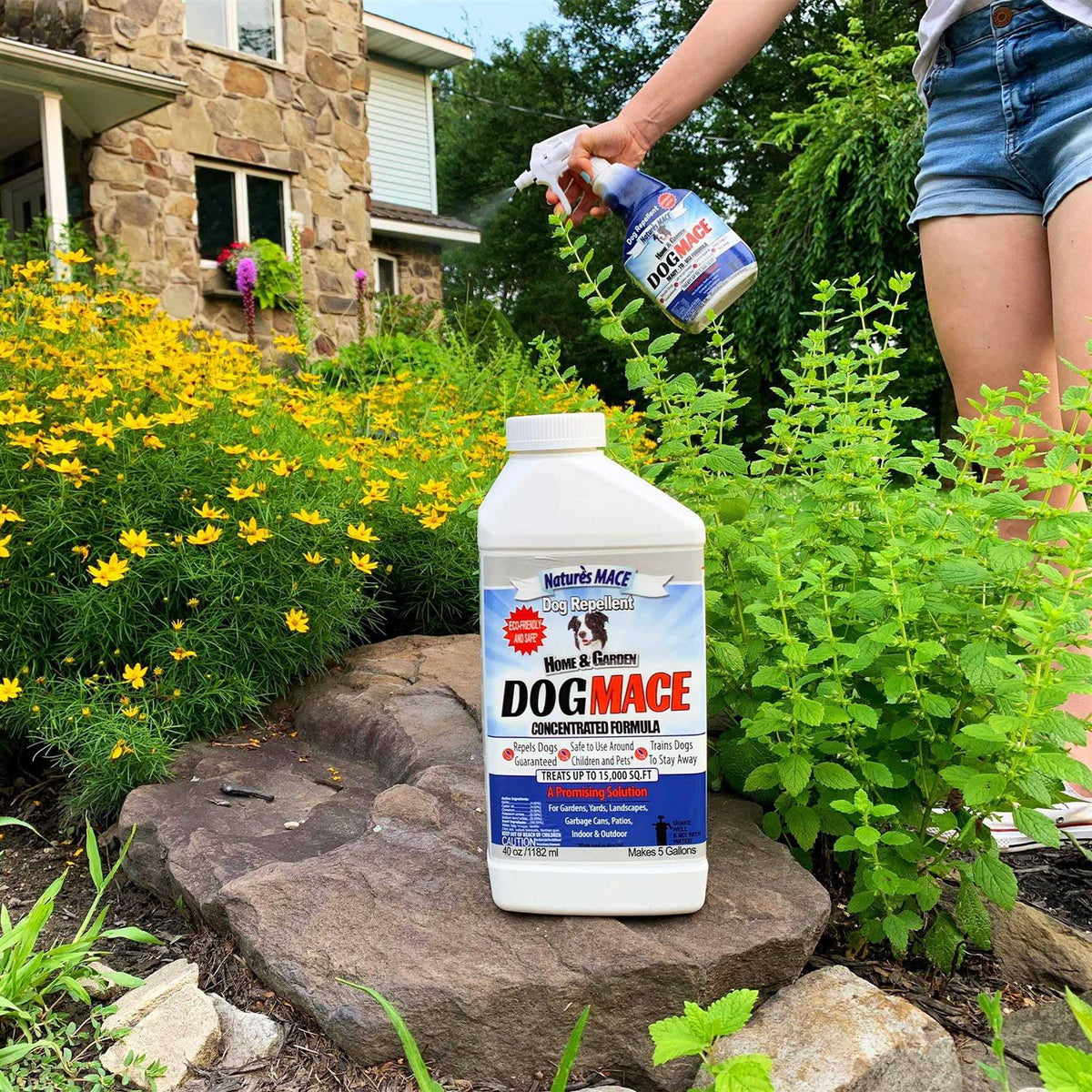 Dog Repellent J1070