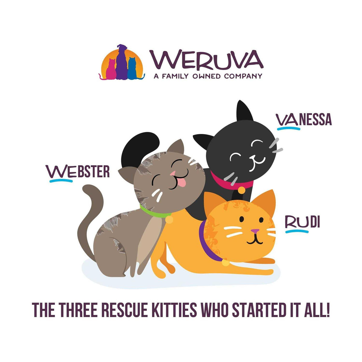Wet Cat Food Pouches R4884