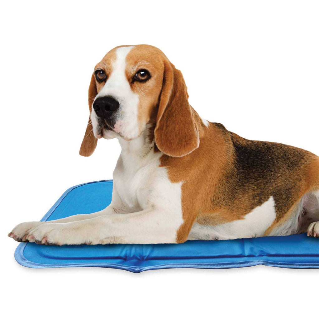 Cool Pet Pad D153885
