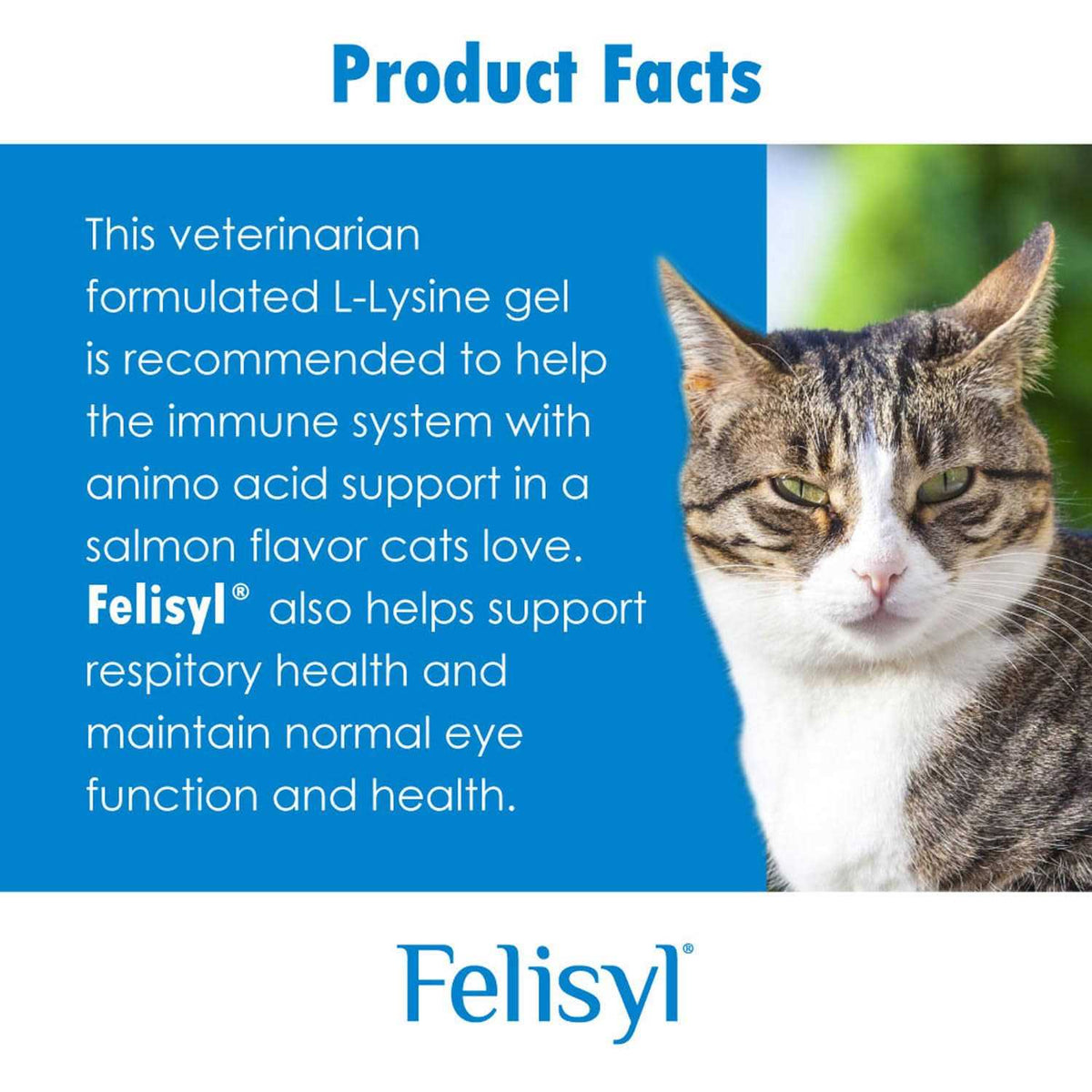 L-Lysine Gel for Cats I5899