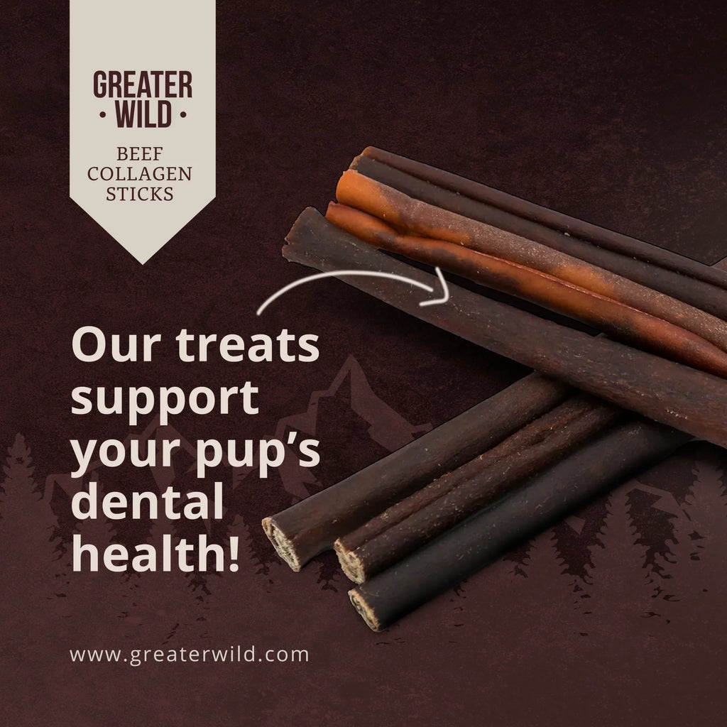 12" Beef Collagen Sticks Dog Treats - 6 Sticks E1790
