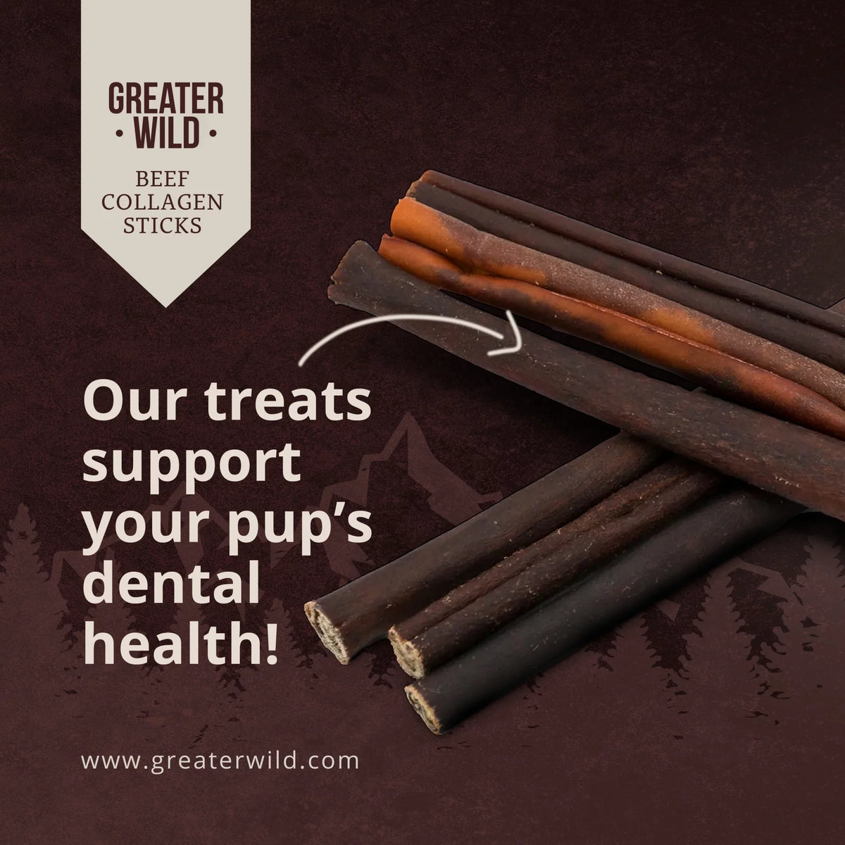 12" Beef Collagen Sticks Dog Treats - 6 Sticks E1790