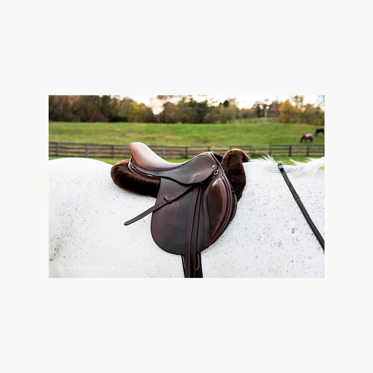 Black Large Sheepskin Half Saddle Pad K2930