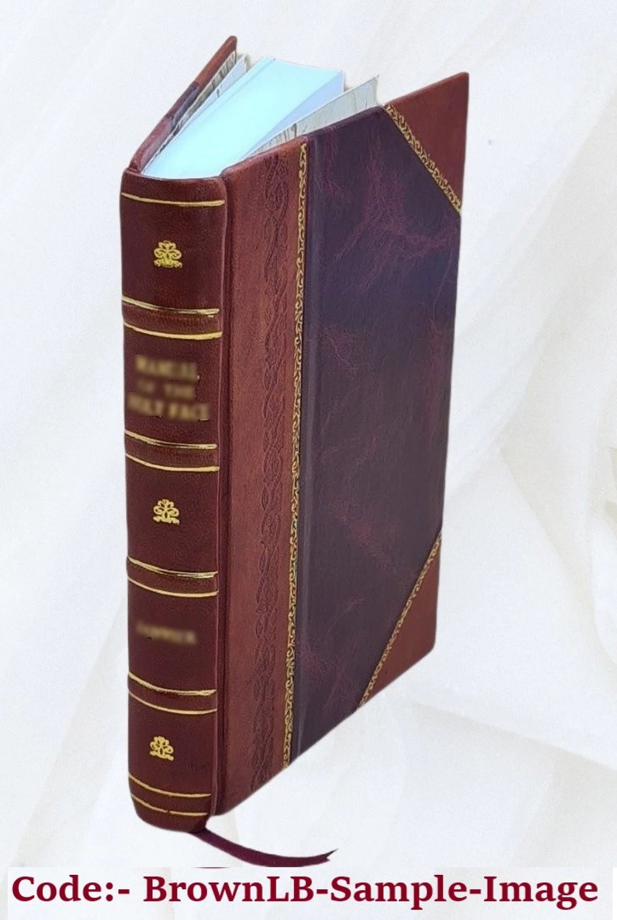 Leather Bound Book Y607