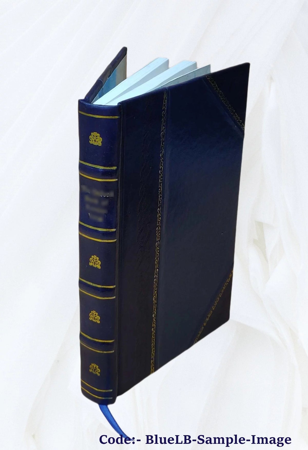 Leather Bound Book Y607