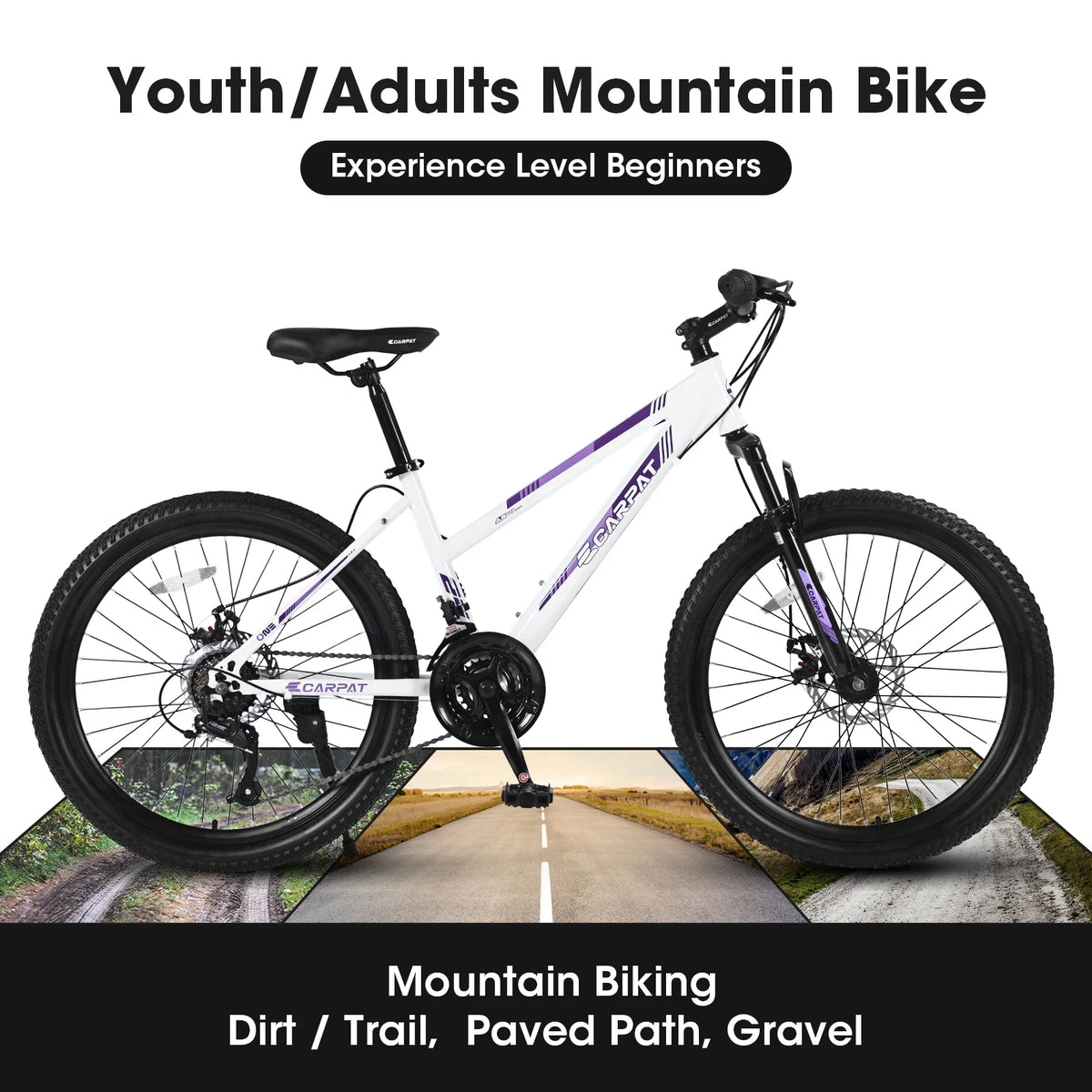 24 inch 21 Speeds Mountain Bike H286894