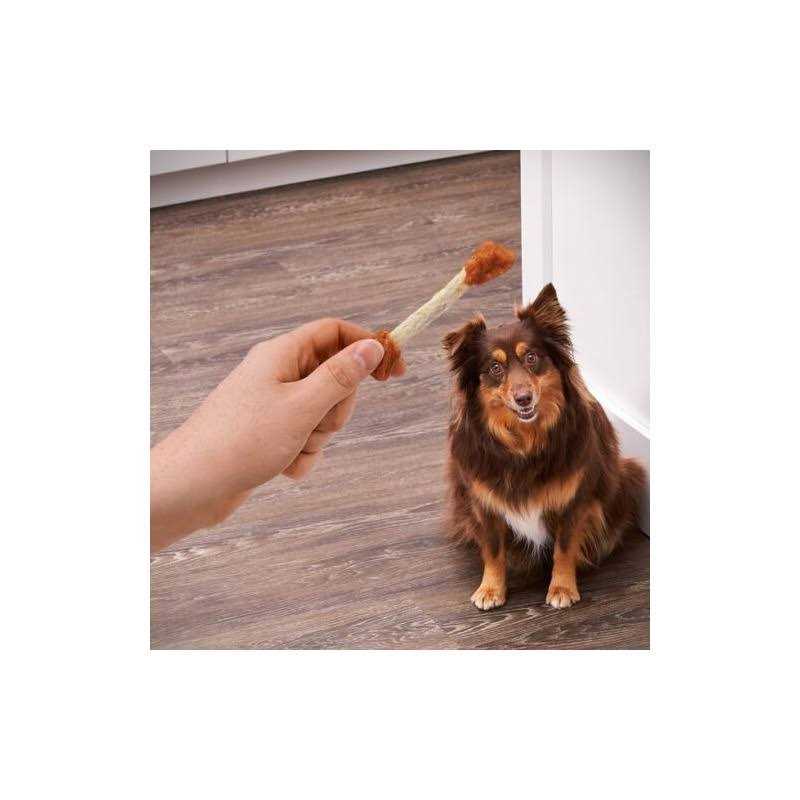 Chicken Recipe Dry Dog Training Treats R65933