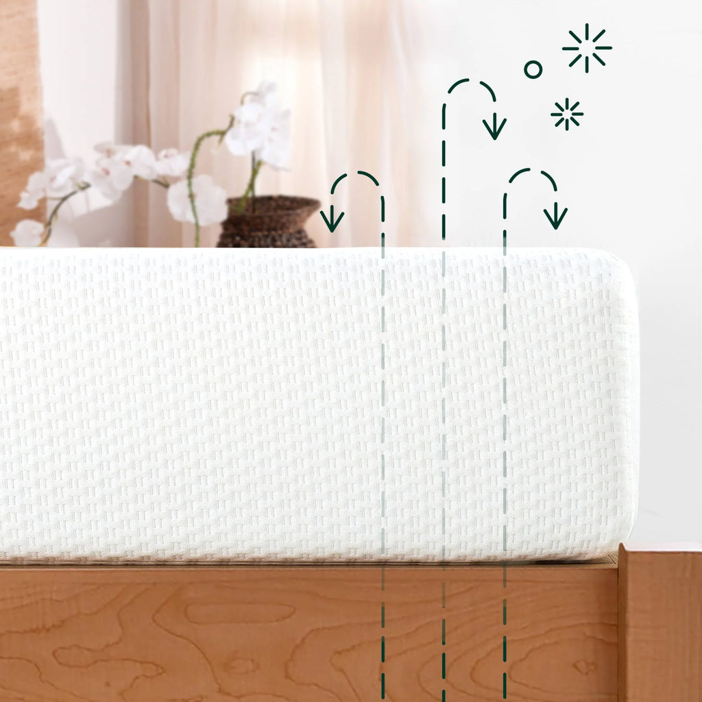 Queen Memory Foam Mattress C533