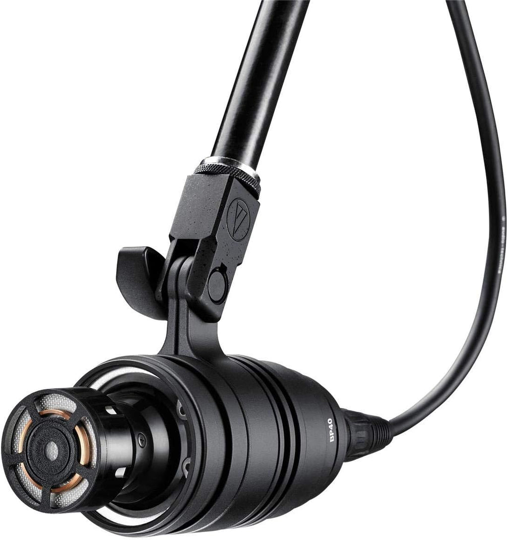 Dynamic Microphone D6072