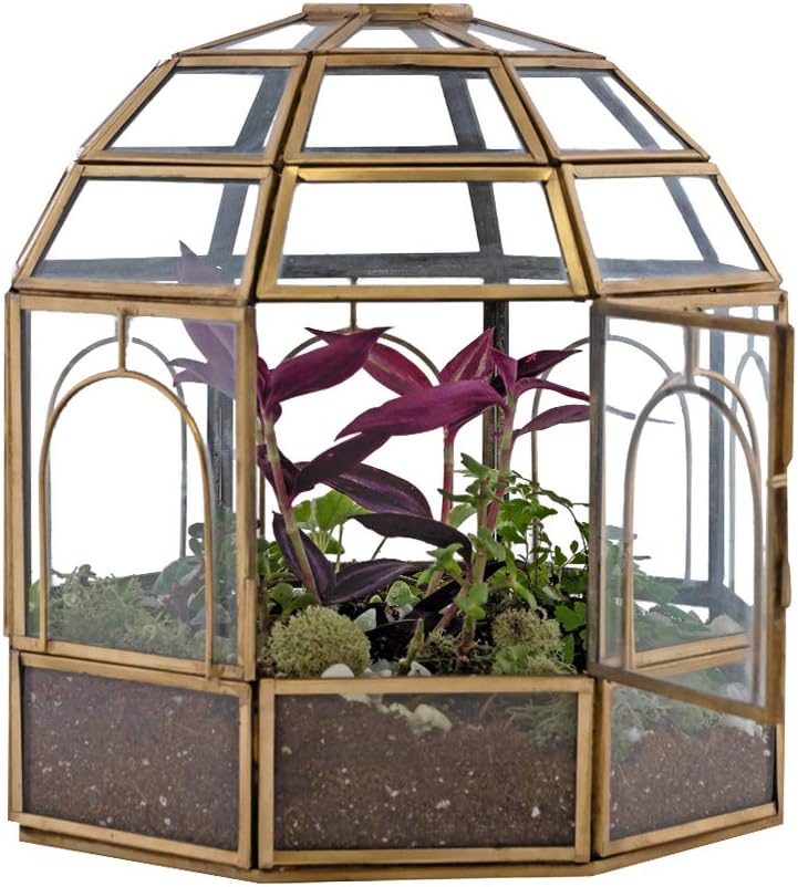 Large Glass Terrarium 10 x 9 x 9 Brass T216