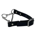 Martingale Collar for Dogs Biothane Stainless Steel P5291