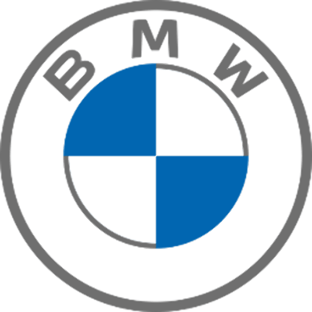 BMW Side Window Rigid Rear Rig Q3321