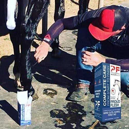 2 oz. Equine Wound Paste N91778