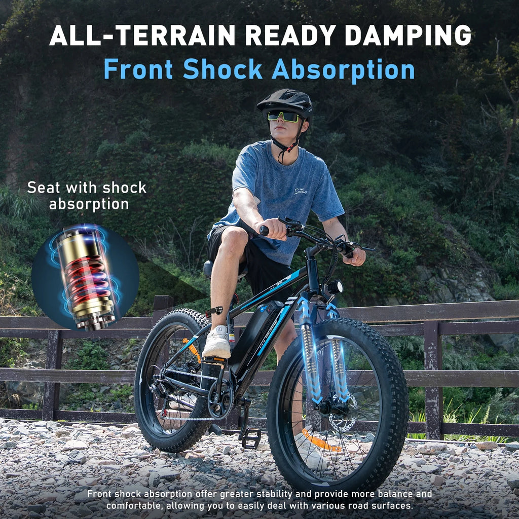 Fat Tire 750W 15AH 48V Electric Bike Q460