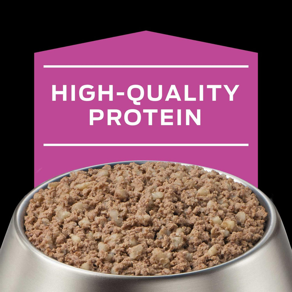 Wet Dog Food R123