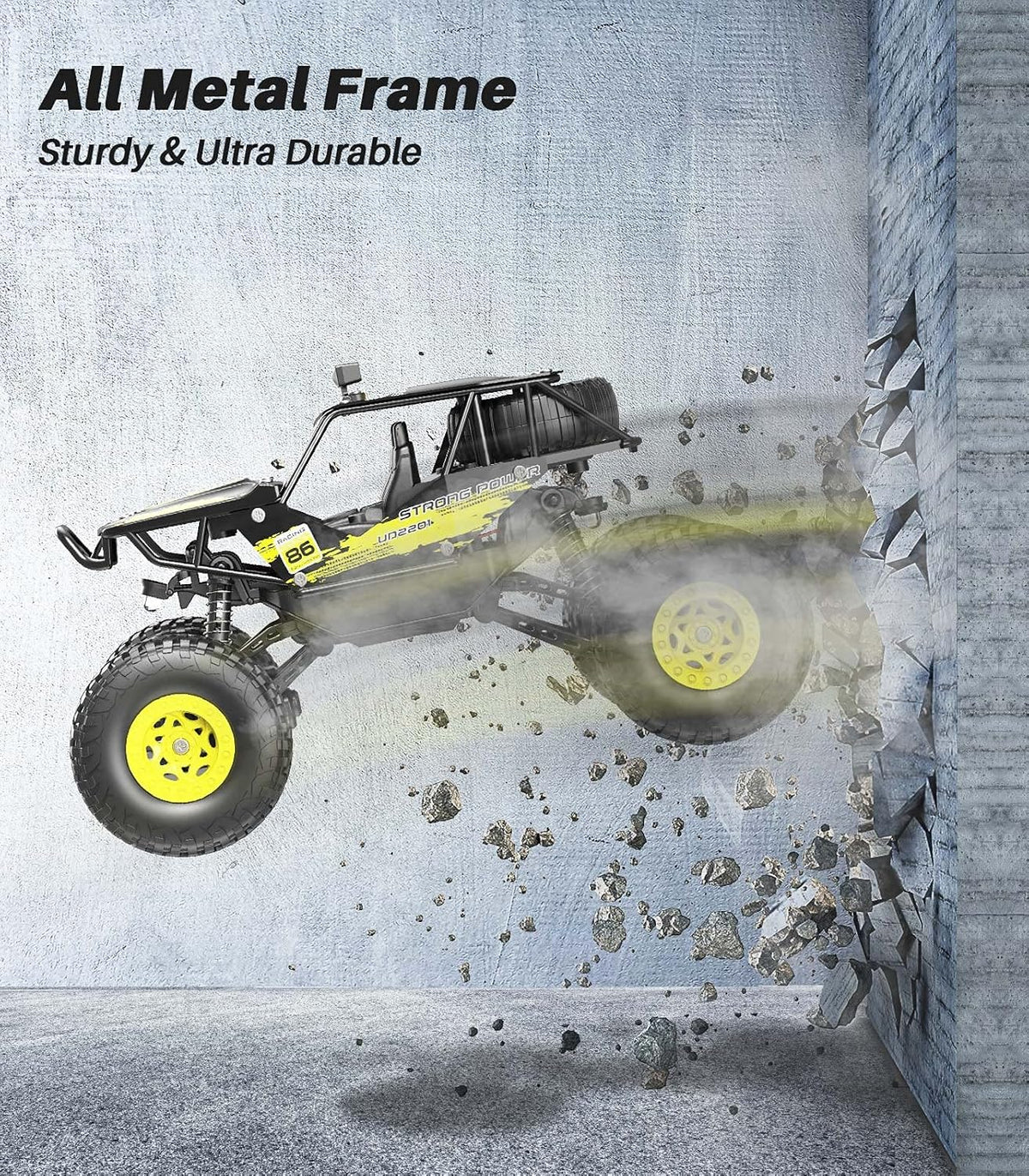 Metal 1:20 Scale 2WD Monster Truck RC Car with 2 Rechargeable Batteries L523