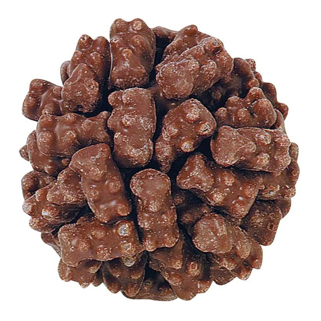 Milk Chocolate Gummies Candy Bag 2 LB J30603