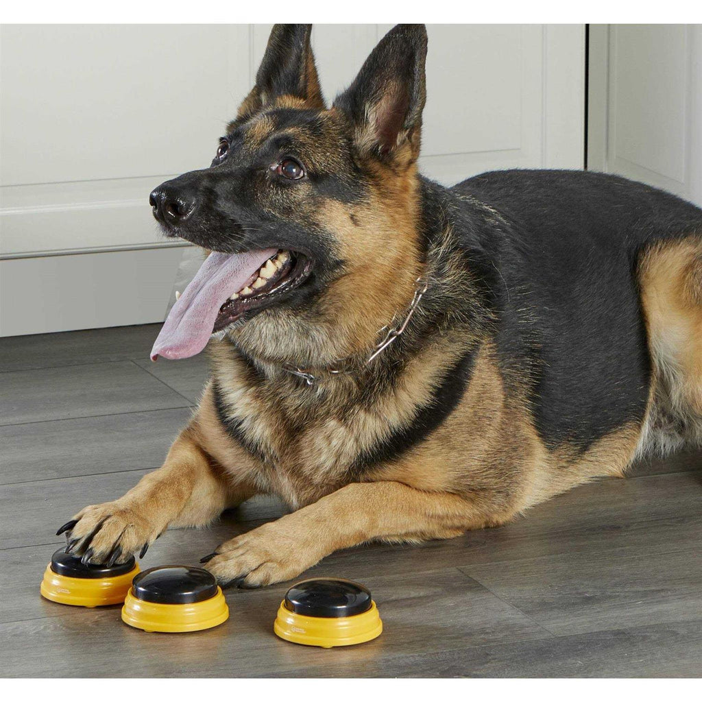 Talking Pet F444769