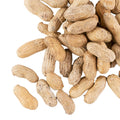 25 lb. Roasted Unsalted In-Shell Peanuts O543