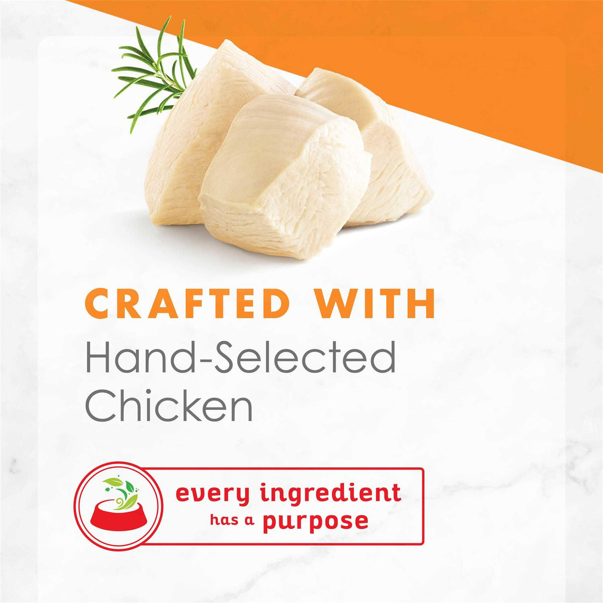 White Meat Chicken Broth Wet Cat Food L47140