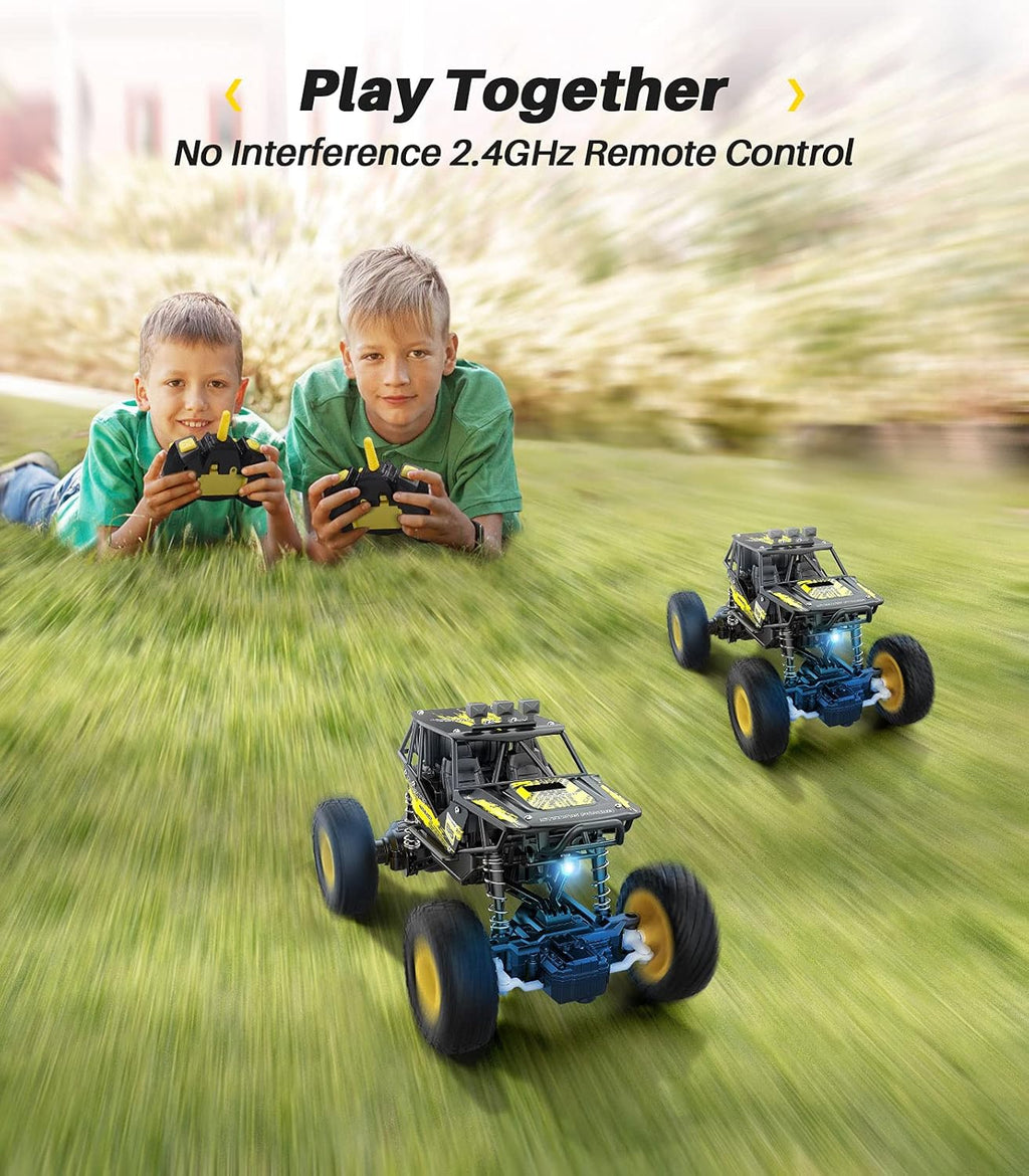 Metal 1:20 Scale 2WD Monster Truck RC Car with 2 Rechargeable Batteries L523