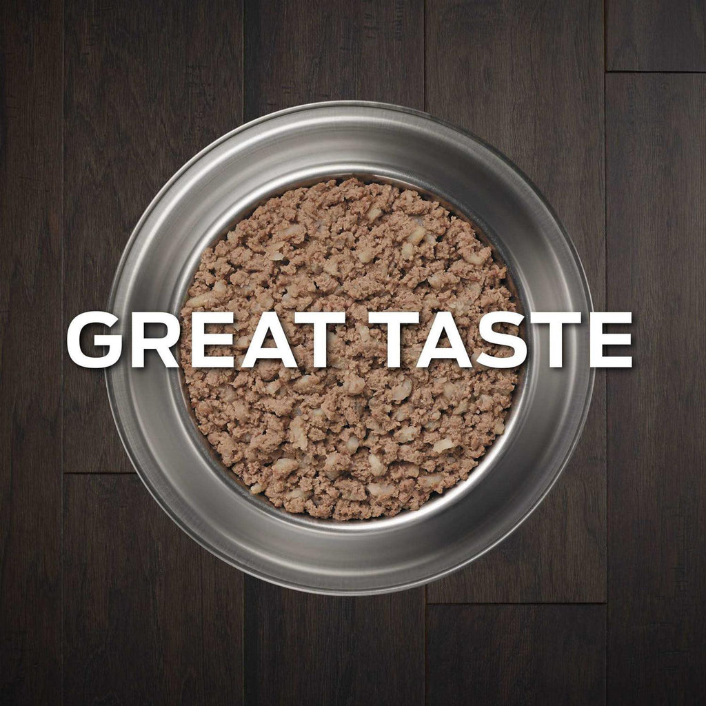 Wet Dog Food R123