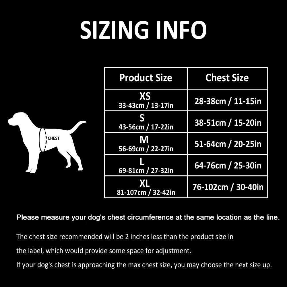 Reflective Dog Harness and Leash N3380