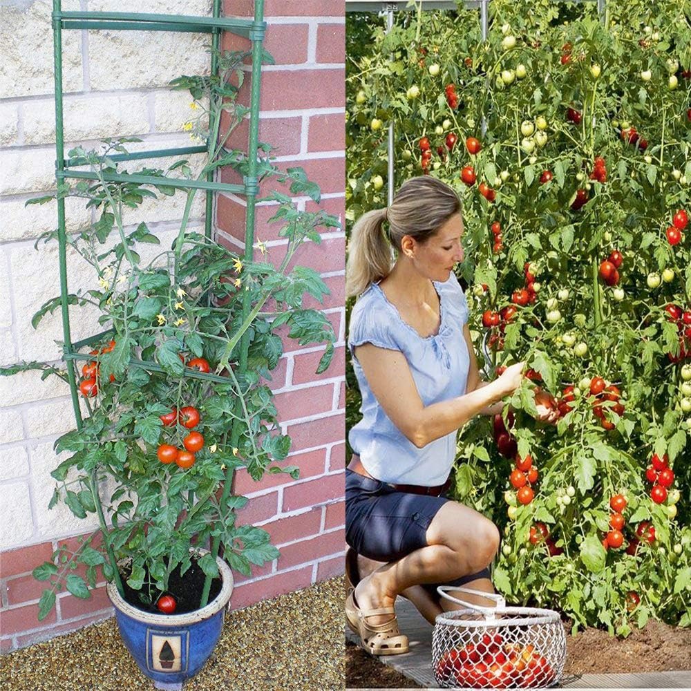 Tomato Cages Plant Supports with 9Pcs Clips Pack of 2 W981457