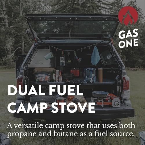 Portable Dual Fuel Propane Butane Stove with Carrying Case N39033