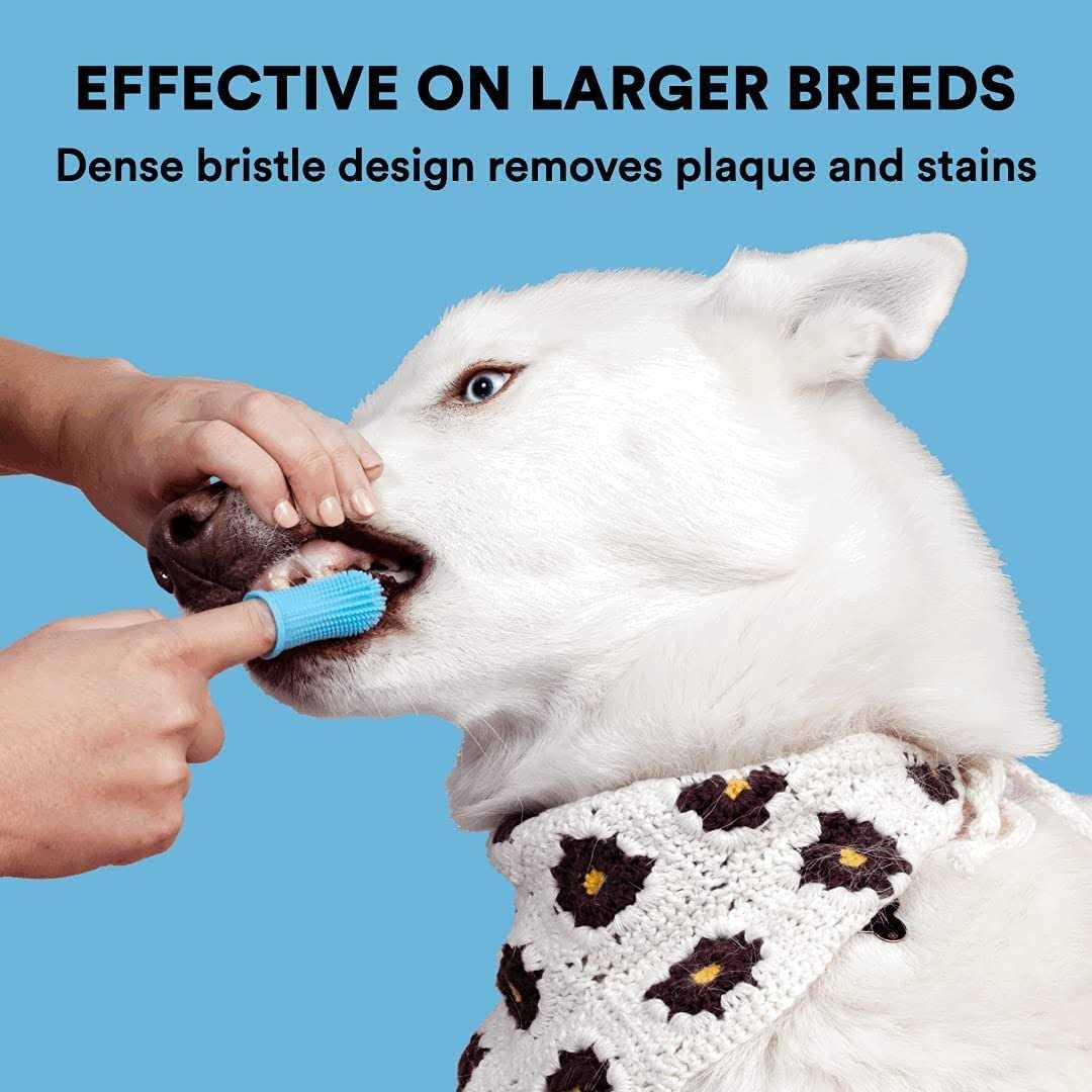 Dog Toothbrush E485507