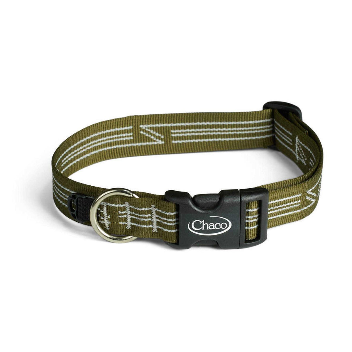 Dog Collar Y77537