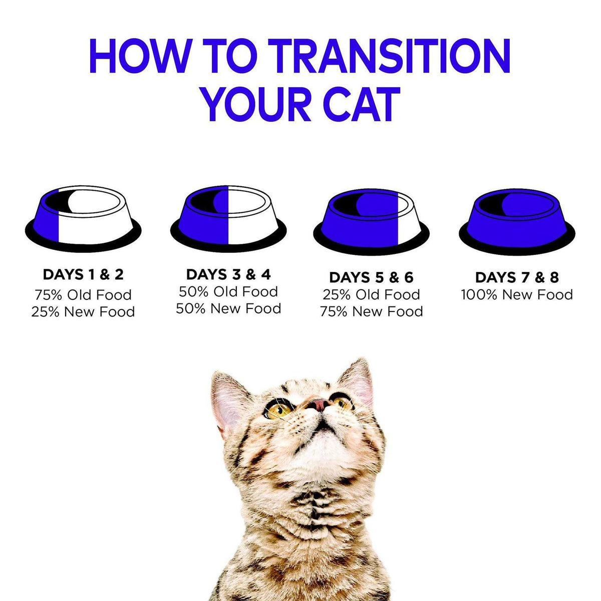 Cat Food N54537