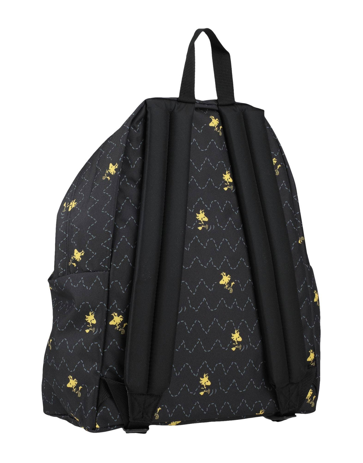 Padded Pak R Backpack J79621