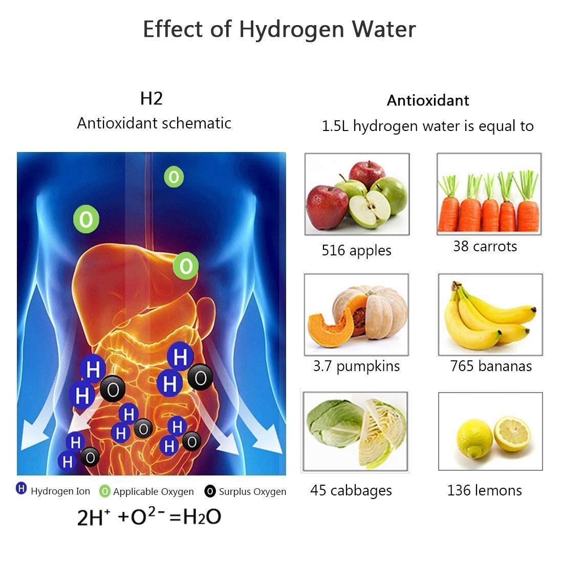 Portable Hydrogen Water Bottle V107
