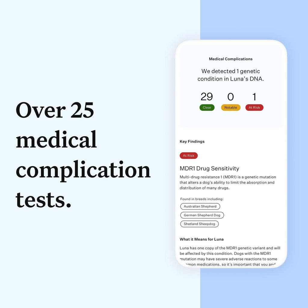 Dog DNA Test Kit Q43396