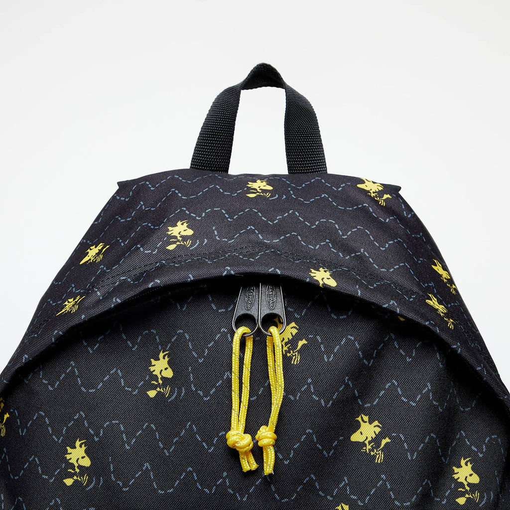 Padded Pak R Backpack J79621