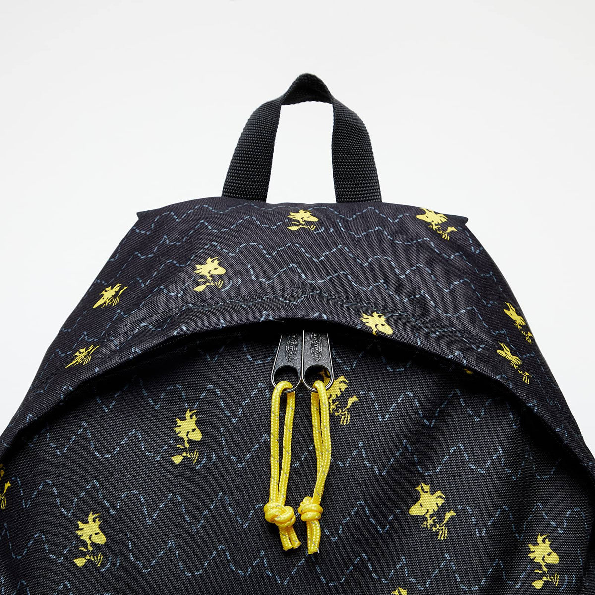 Padded Pak R Backpack J79621