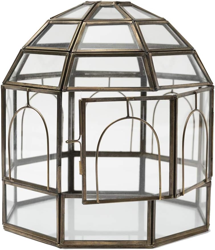 Large Glass Terrarium 10 x 9 x 9 Brass T216