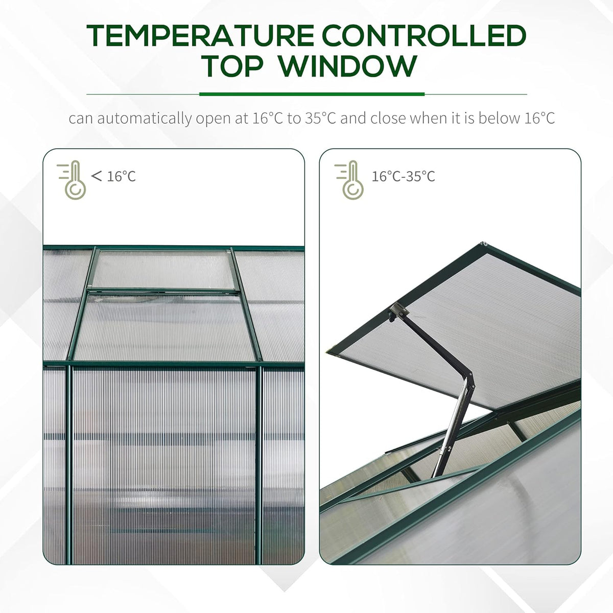 6' x 8' x 7' Walk-in Polycarbonate Greenhouse Y63128