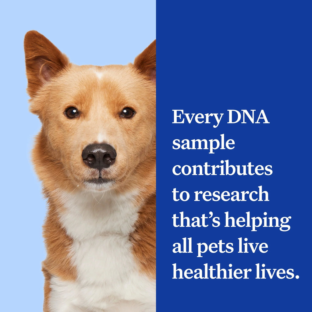 Dog DNA Test Kit Q43396