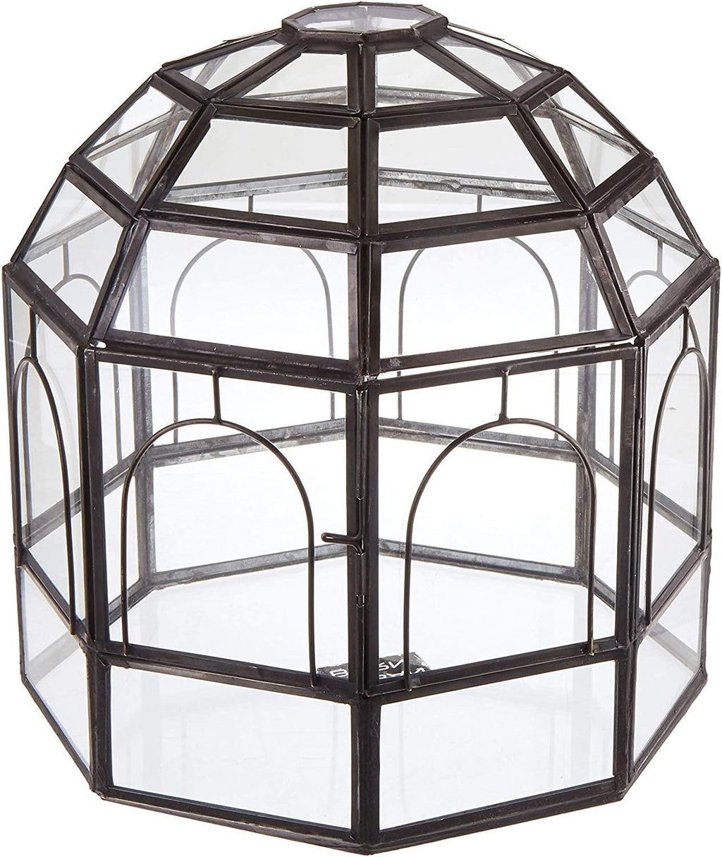Large Glass Terrarium 10 x 9 x 9 Brass T216
