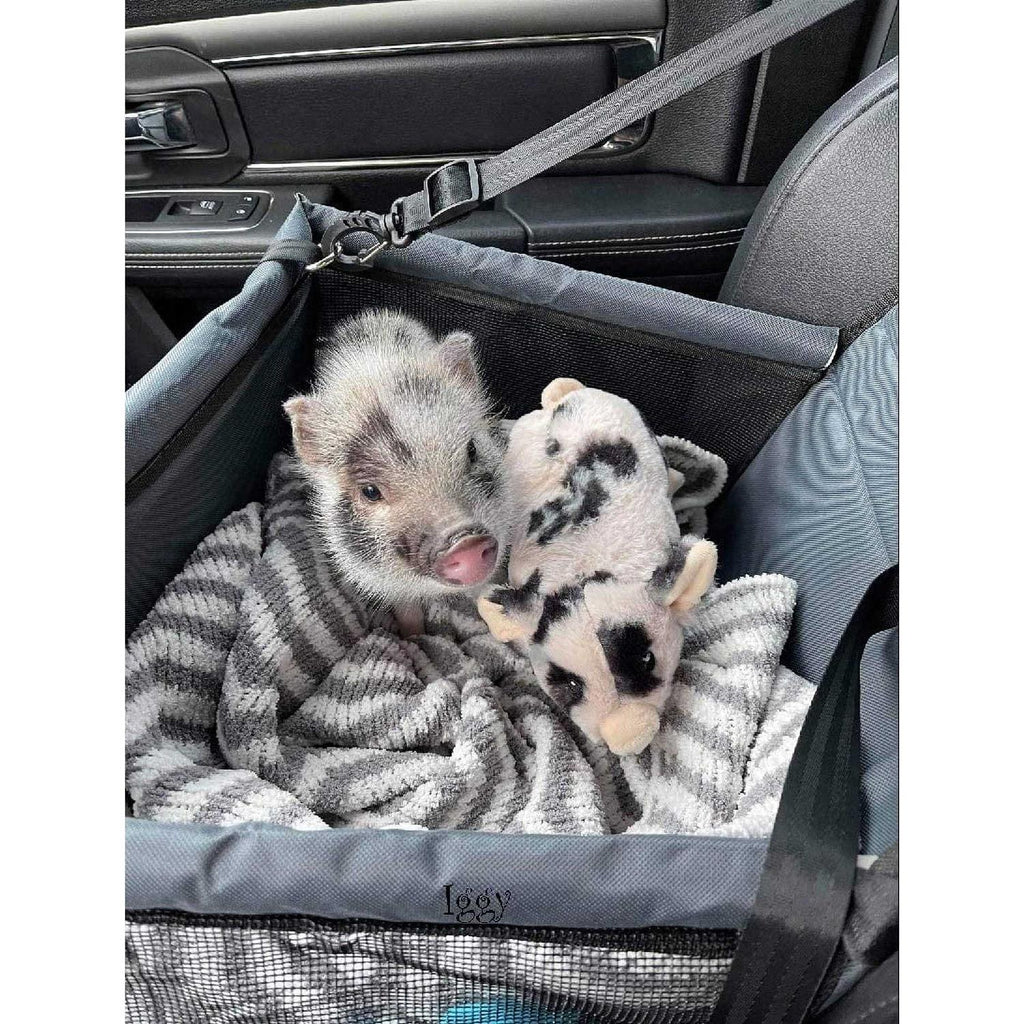 Pet Car Seat G824947