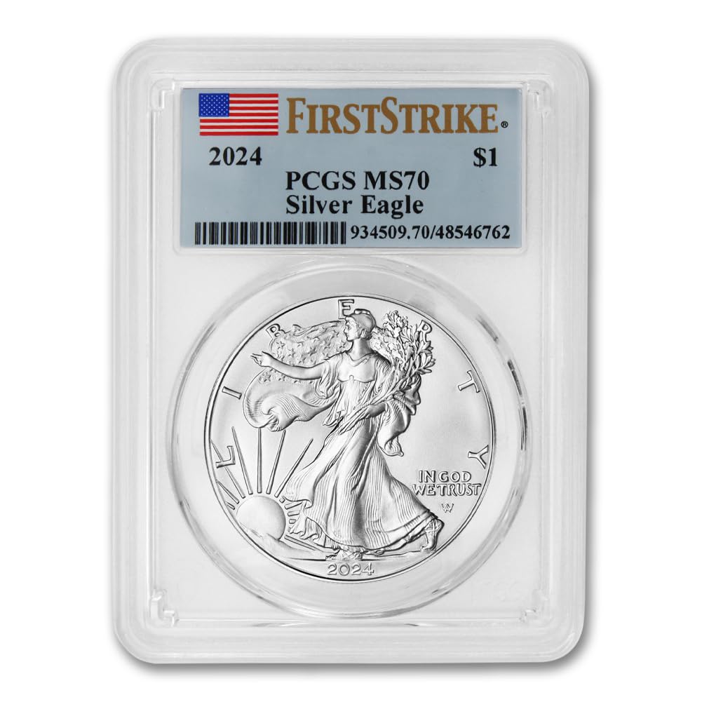 1 oz American Silver Eagle Coin MS-70 R1005